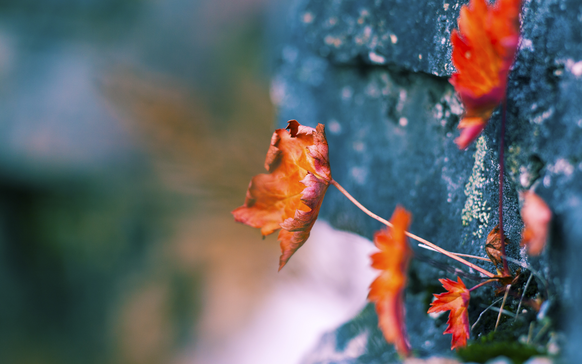 电竞职业资格考试正式试点运行，职业电竞员考试