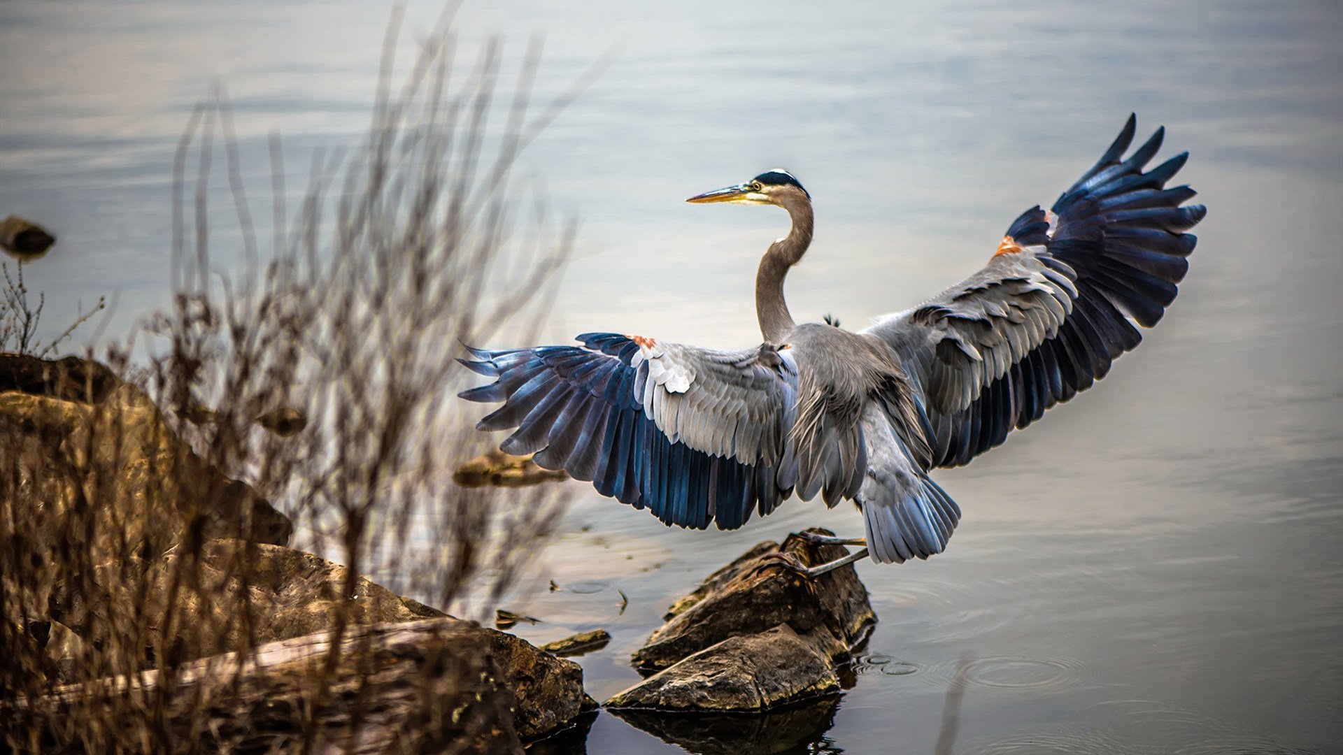 五大联赛是否推动中后场组织点多核心分布，五大联赛广义实力定位