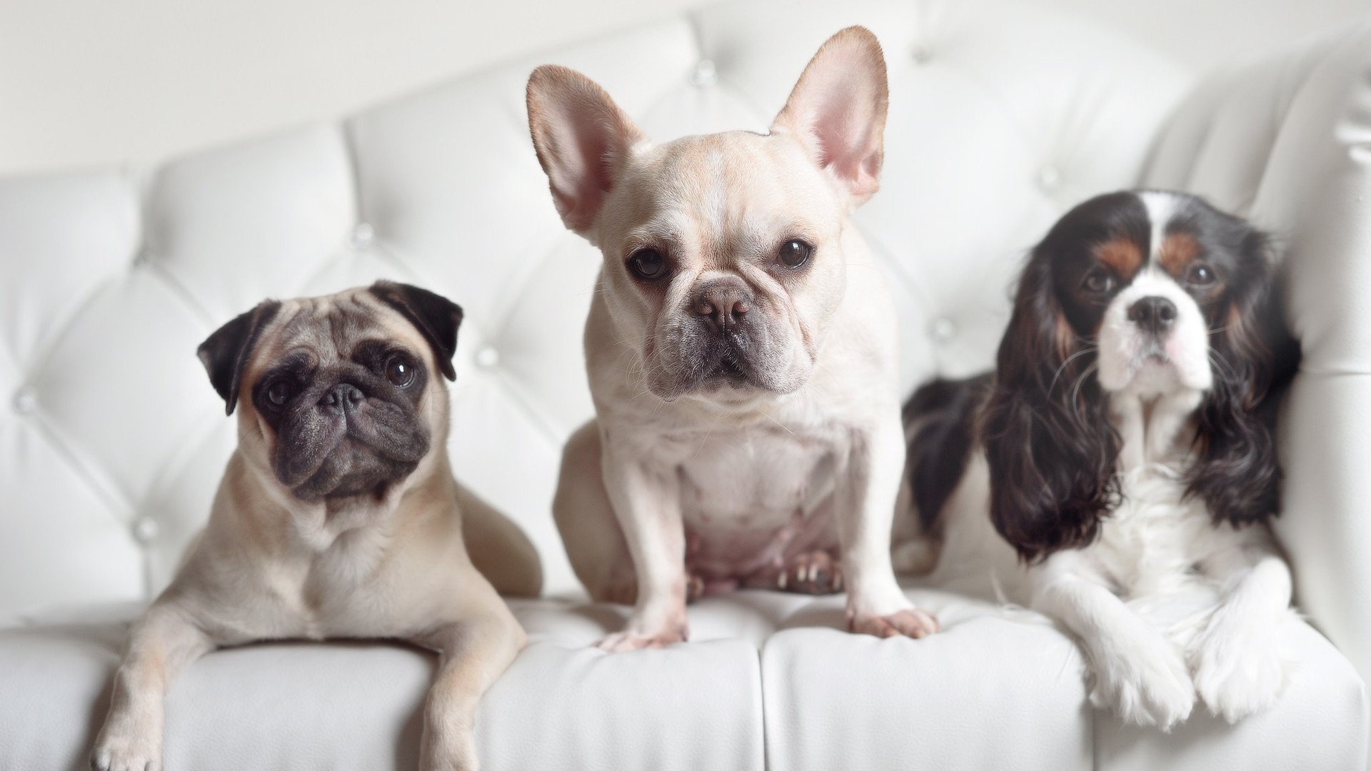 亚特兰大持续加强反击速度打破僵局，亚特兰大进攻太强了