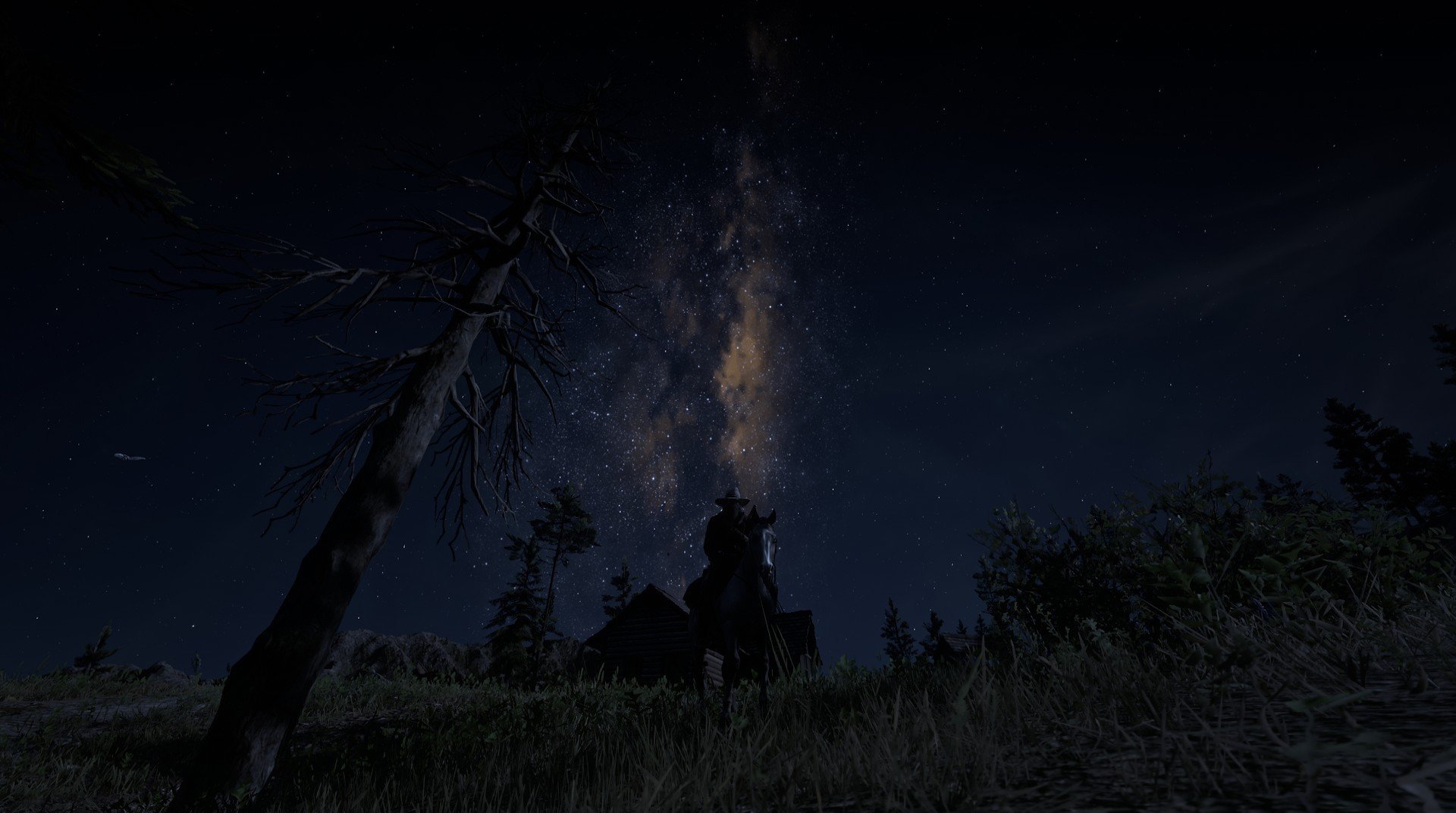 加拿大队未来前景：实现更多国际赛事突破，扩大国际影响力，加拿大队阵容