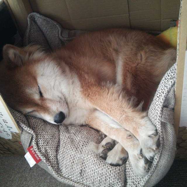 后卫突破后是否应优先寻找外线射手，突破后卫适合什么鞋